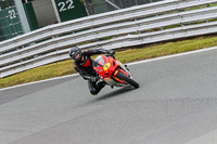 PJ-Motorsport-Photography-2020;anglesey;brands-hatch;cadwell-park;croft;donington-park;enduro-digital-images;event-digital-images;eventdigitalimages;mallory;no-limits;oulton-park;peter-wileman-photography;racing-digital-images;silverstone;snetterton;trackday-digital-images;trackday-photos;vmcc-banbury-run;welsh-2-day-enduro